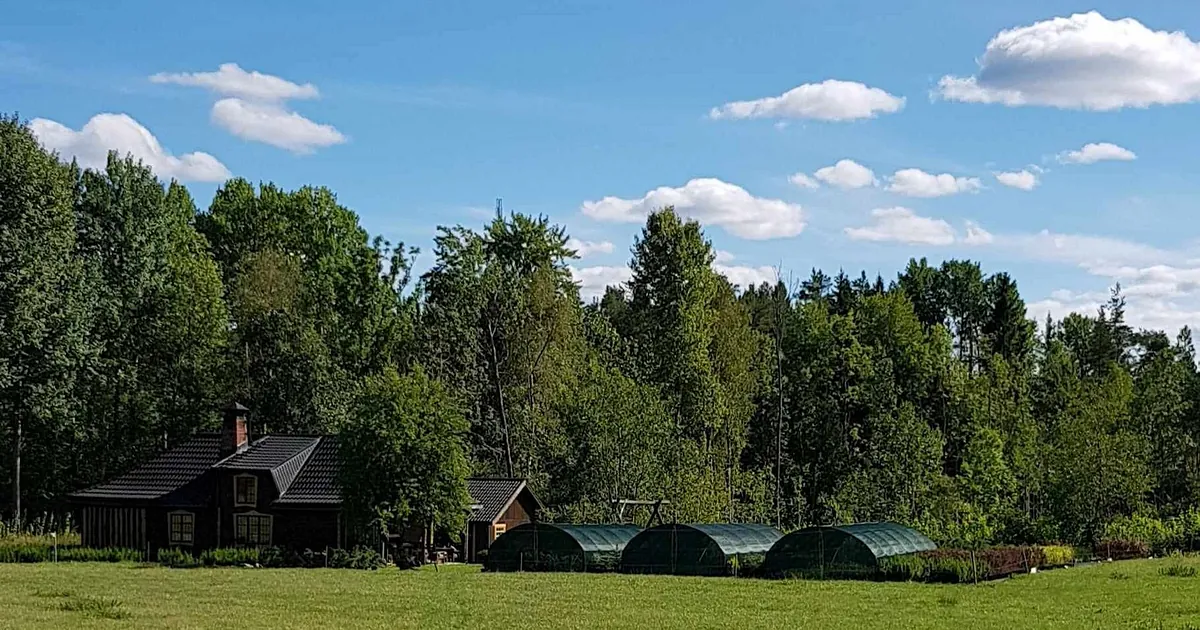 A&R Prydligträdgård plantskola