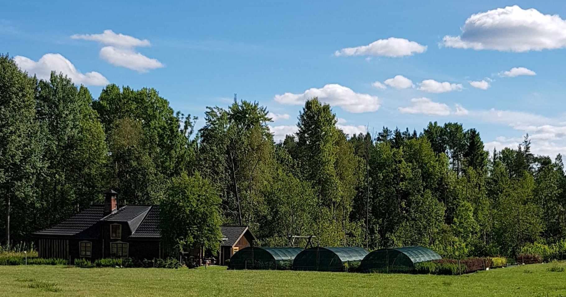 A&R Prydligträdgård plantskola